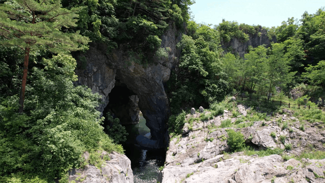 Valley stream and rocky cave surrounded by green forest