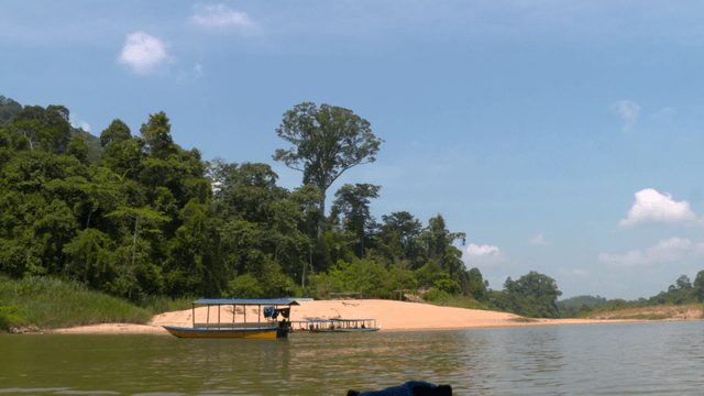 A serene river with a boat and lush greenery