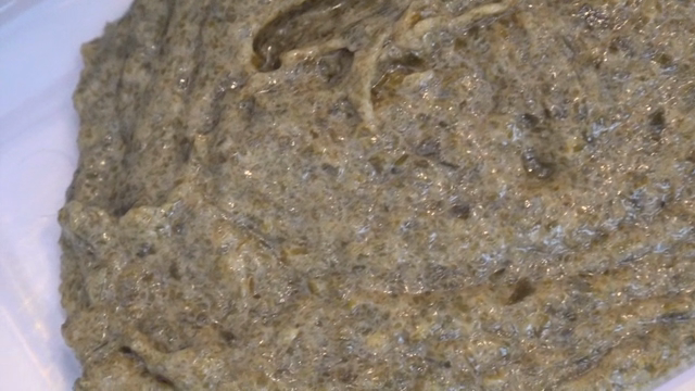 Kelp puree transferred to a plastic container