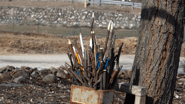 Wooden branch pencil sculpture on wooden background