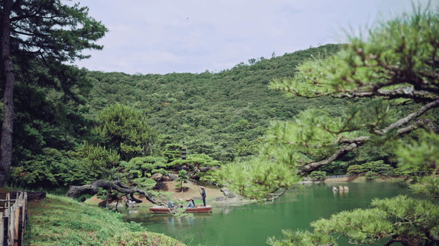 Serene boat ride in a lush lake