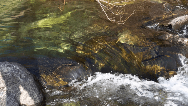 Clear stream flowing swiftly