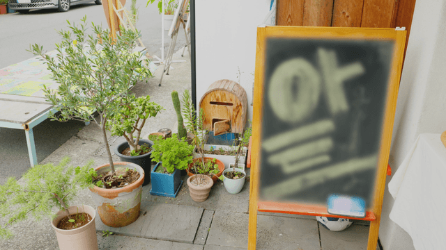 가게 밖에 놓인 화분들