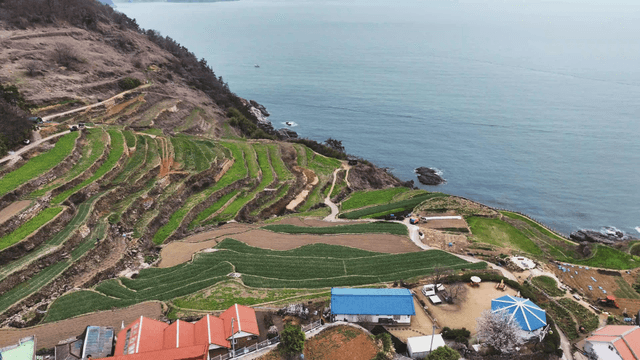 Terraced fields by the sea with a village
