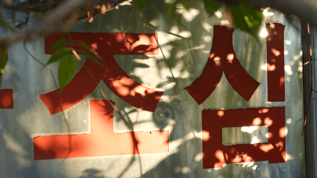 Caution sign with leaf shadows cast on it
