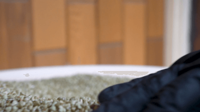 Gloved hands arranging peeled buckwheat