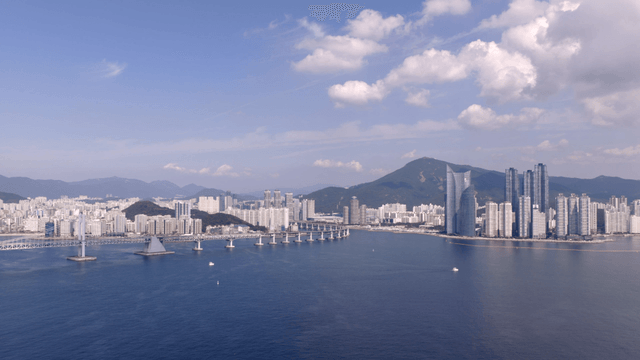 Coastal city with bridge and skyscrapers