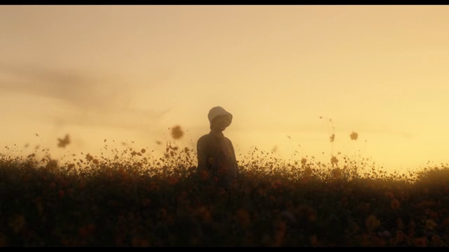 Senior standing in a flower field at sunset