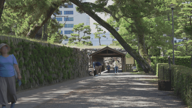 People walking through a park with trees