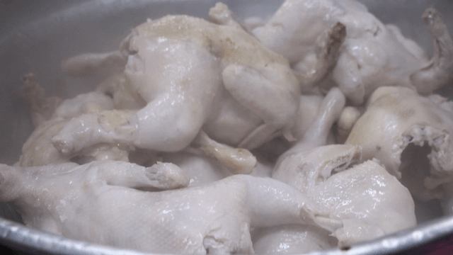 Boiled chickens in a large pot