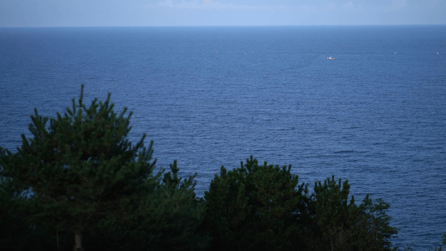 Calm sea with distant boat and tree