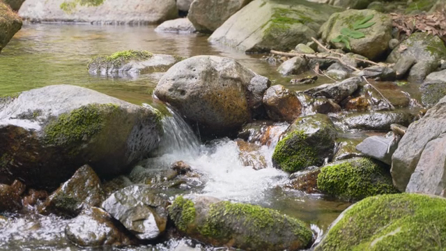A small stream flowing over mossy rocks