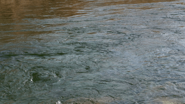 Flowing river with gentle ripples