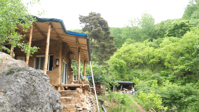Small house located in the forest