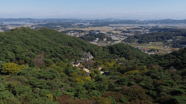사찰을 둘러싼 무성한 숲