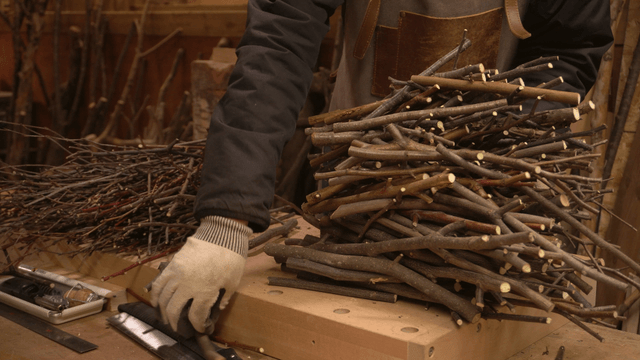 Woodworker arranging cut branches in workshop