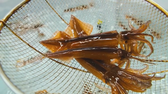 Squids caught in a net in a tank