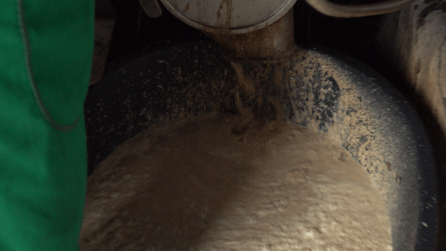 Ground acorn liquid poured into a large black basin