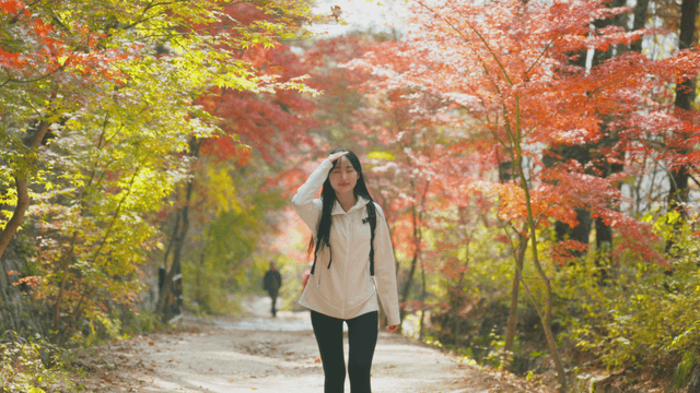 Young woman hiking up autumn forest trail
