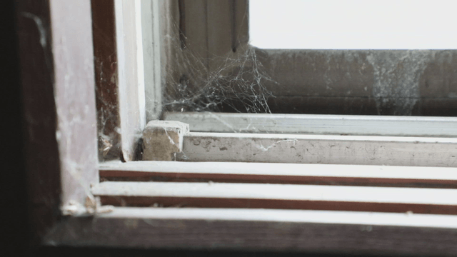 Dusty window frame with cobwebs
