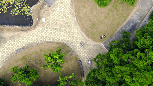 Aerial view of a park with pathways and trees