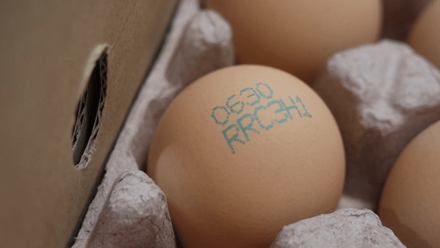 Box filled with code-printed eggs