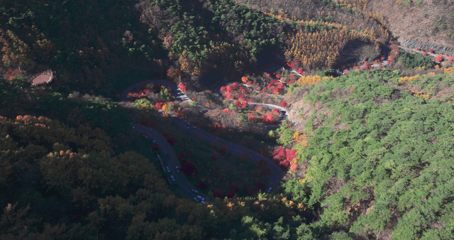 Colorful autumn foliage with winding road