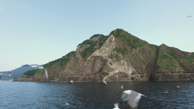 Rocky island with seagulls flying