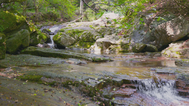 Clear stream flowing over rocks
