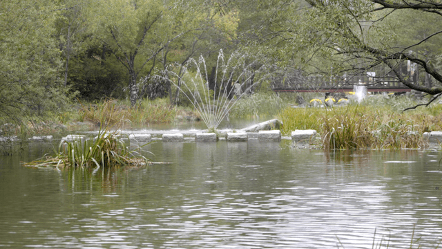Tranquil park with a fountain and bridge