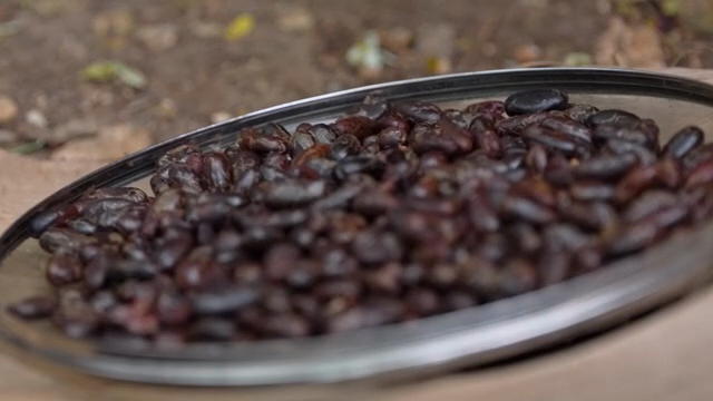 Cacao beans with their hulls removed