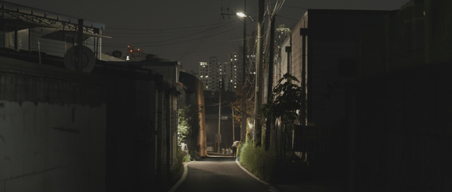 Quiet alleyway at night with city lights
