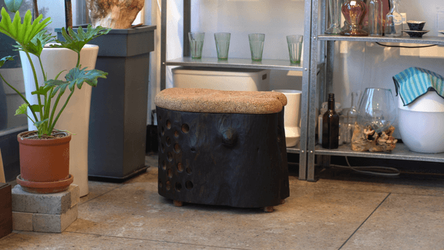 Indoor space with plants and unique wooden chair
