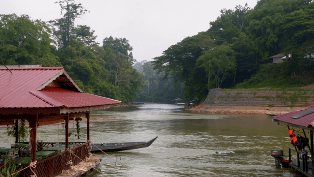 A serene river with lush greenery