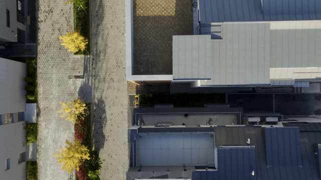 Modern buildings and street with trees