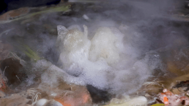 Boiling vegetable and seafood broth with rising foam