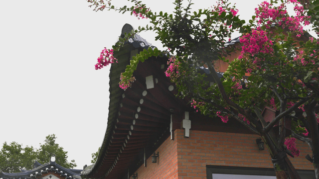 Rain falling on a flower-filled traditional hanok eaves