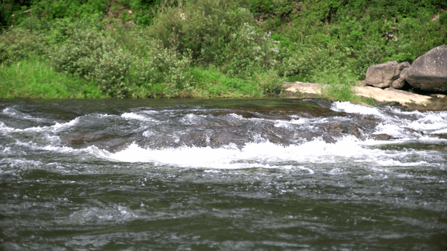 Flowing river with gentle rapids