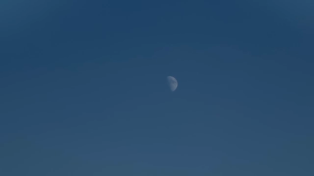 반달이 보이는 맑은 하늘