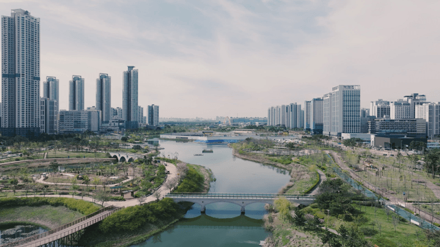 Lake park between modern city skylines
