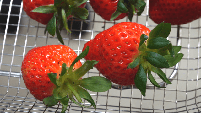 Fresh strawberries in a metal basket