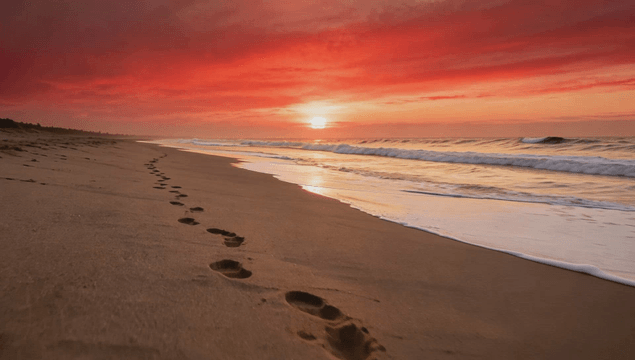 Footprints on a red sunset beach