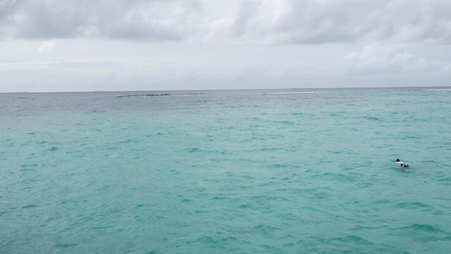 A person swimming in the open sea
