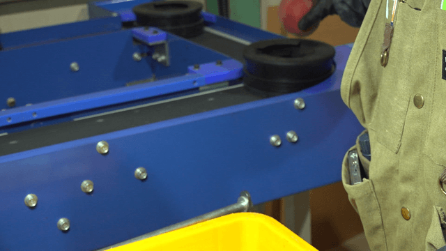 Peaches being sorted on a conveyor belt