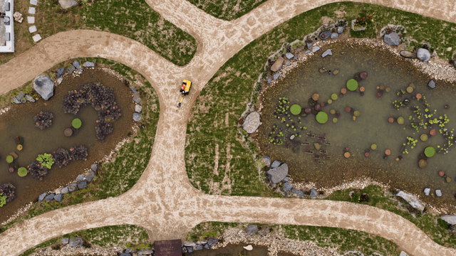 Small ponds with aquatic plants in a park