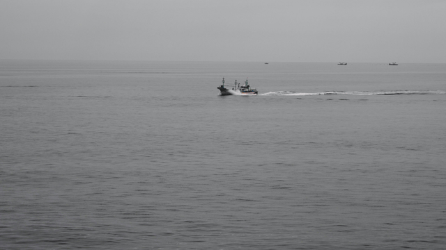 Fishing boat sailing across open sea