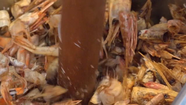 Scene of crushing crab and shrimp shells