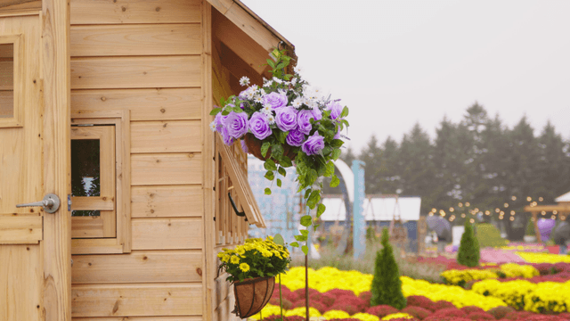 Rainy garden with treehouse and vibrant flowers