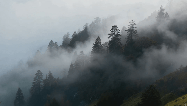 Misty forested mountains in the morning