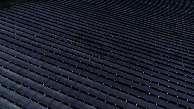 들판에 있는 차양막의 행렬